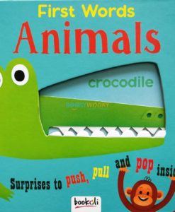 Push Pull and Pop Boardbooks (2 titles) - First Words Animals (2)
