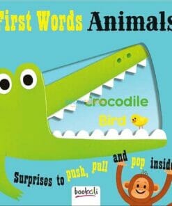 Push Pull and Pop Boardbooks (2 titles) - First Words Animals 9781787721074 cover page