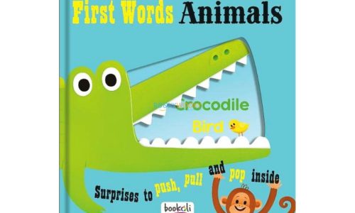 Push Pull and Pop Boardbooks (2 titles) - First Words Animals 9781787721074 cover page