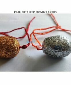 Seed Bomb Rakhis (Pair of 2)