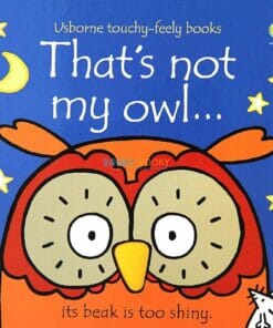 That's Not My Owl 9781409587583 cover