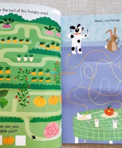 Twisty Mazes for Little Hands Wipe Clean (5)