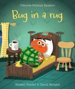 Bug in a Rug- Usborne Phonics Readers 9781409580430 cover