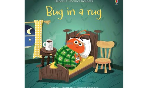 Bug in a Rug- Usborne Phonics Readers 9781409580430 cover
