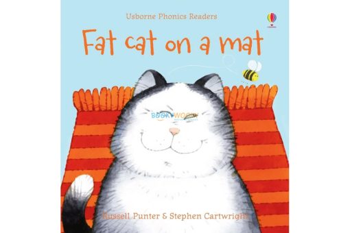 Fat Cat on a Mat Usborne Phonics Readers 9780746077191 cover