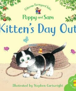 Kitten's Day Out 9780746063156 (1)