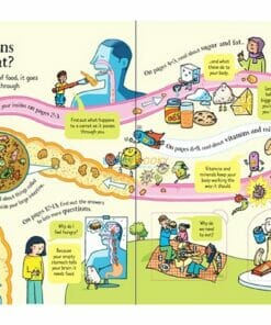 Look Inside What Happens When You Eat (2)