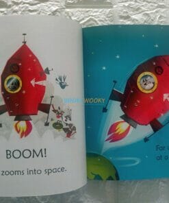 Raccoon on the Moon- Usborne Phonics Readers (1)