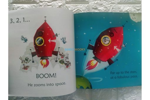 Raccoon on the Moon- Usborne Phonics Readers (1)