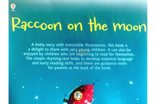 Raccoon on the Moon- Usborne Phonics Readers (3)