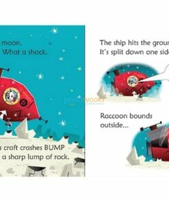 Raccoon on the Moon- Usborne Phonics Readers 3