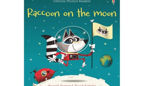 Raccoon on the Moon- Usborne Phonics Readers 9781409580409 cover