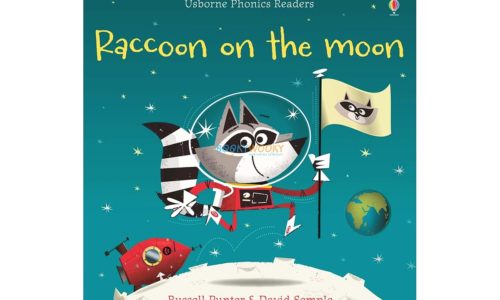 Raccoon on the Moon Usborne Phonics Readers 9781409580409 cover