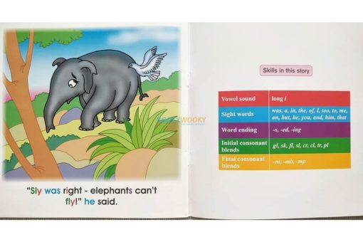 Story Time Library Phonics Mike's Flight (3)