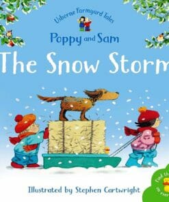 The Snow Storm 9780746063118 (1)