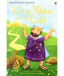 King Midas and the Gold 9781409501084 cover