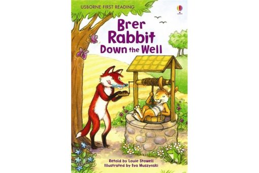 Brer Rabbit down the Well Level 2 9781409509790jpg