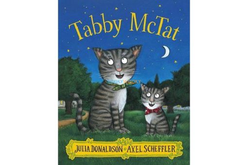 Tabby McTat Julia Donaldson 9781407170701jpg