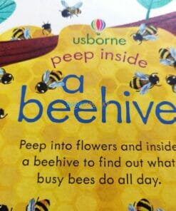 Peep Inside a Beehive 9781474978477 (5)