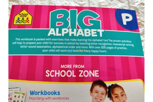 School Zone Big Alphabet 13