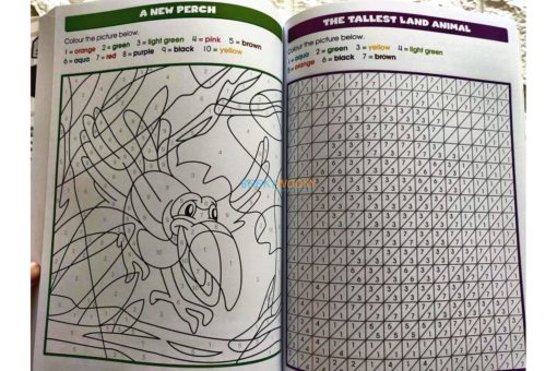 Big Hidden Pictures (6) School Zone workbook