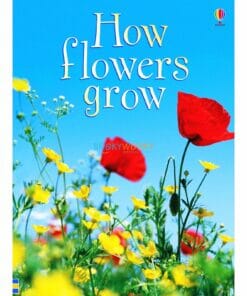 How-Flowers-Grow-Usborne-Beginners-9780746074503.jpg