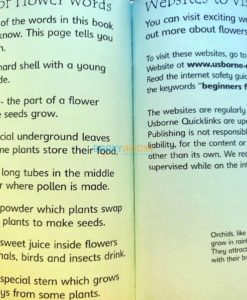 How-Flowers-Grow-Usborne-Beginners-9780746074503-inside-6.jpg