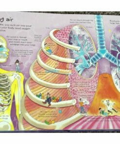 See Inside your body Usborne 50 flaps inside2