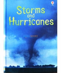 Storms-and-Hurricanes-Usborne-Beginners-9781409544883.jpg