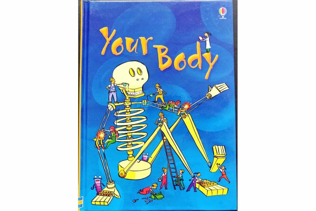 Your Body Usborne Beginners Booky Wooky Your Body Usborne Beginners Booky Wooky