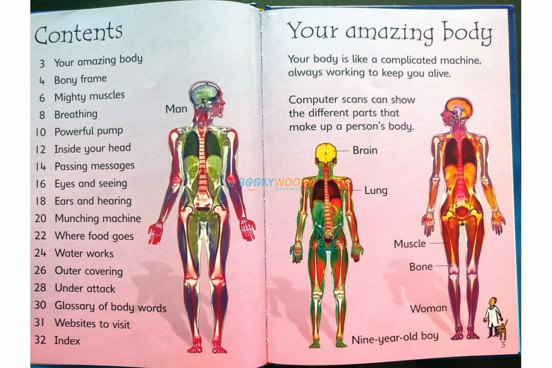 Your Body Usborne Beginners Booky Wooky Your Body Usborne Beginners Booky Wooky
