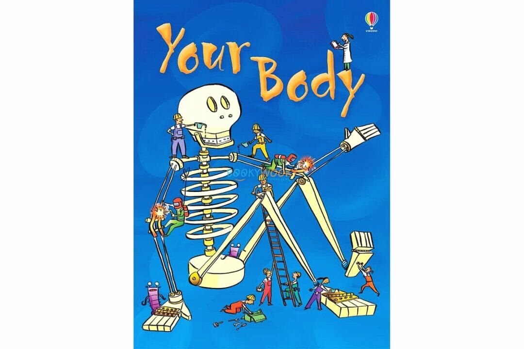 Your Body Usborne Beginners Booky Wooky Your Body Usborne Beginners Booky Wooky