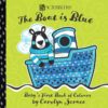 The Boat is Blue - Baby's First Book of Colours 9781912233540