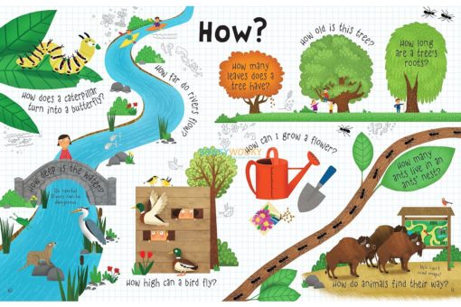 About Nature Usborne Lift The Flap Questions And Answers