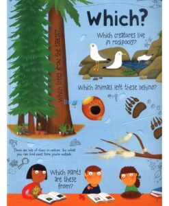About Nature Usborne Lift-The-Flap Questions And Answers