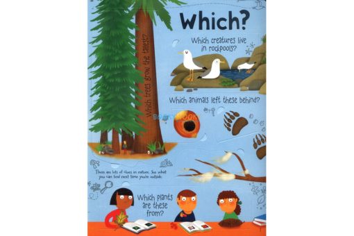 About Nature Usborne Lift The Flap Questions And Answers