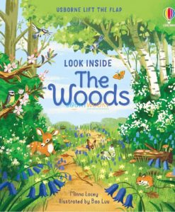 Look Inside The Woods