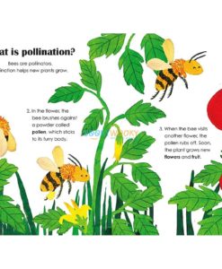 Bees A Lift-The-Flap Eco Book