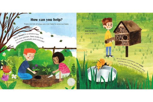 Bees A Lift-The-Flap Eco Book