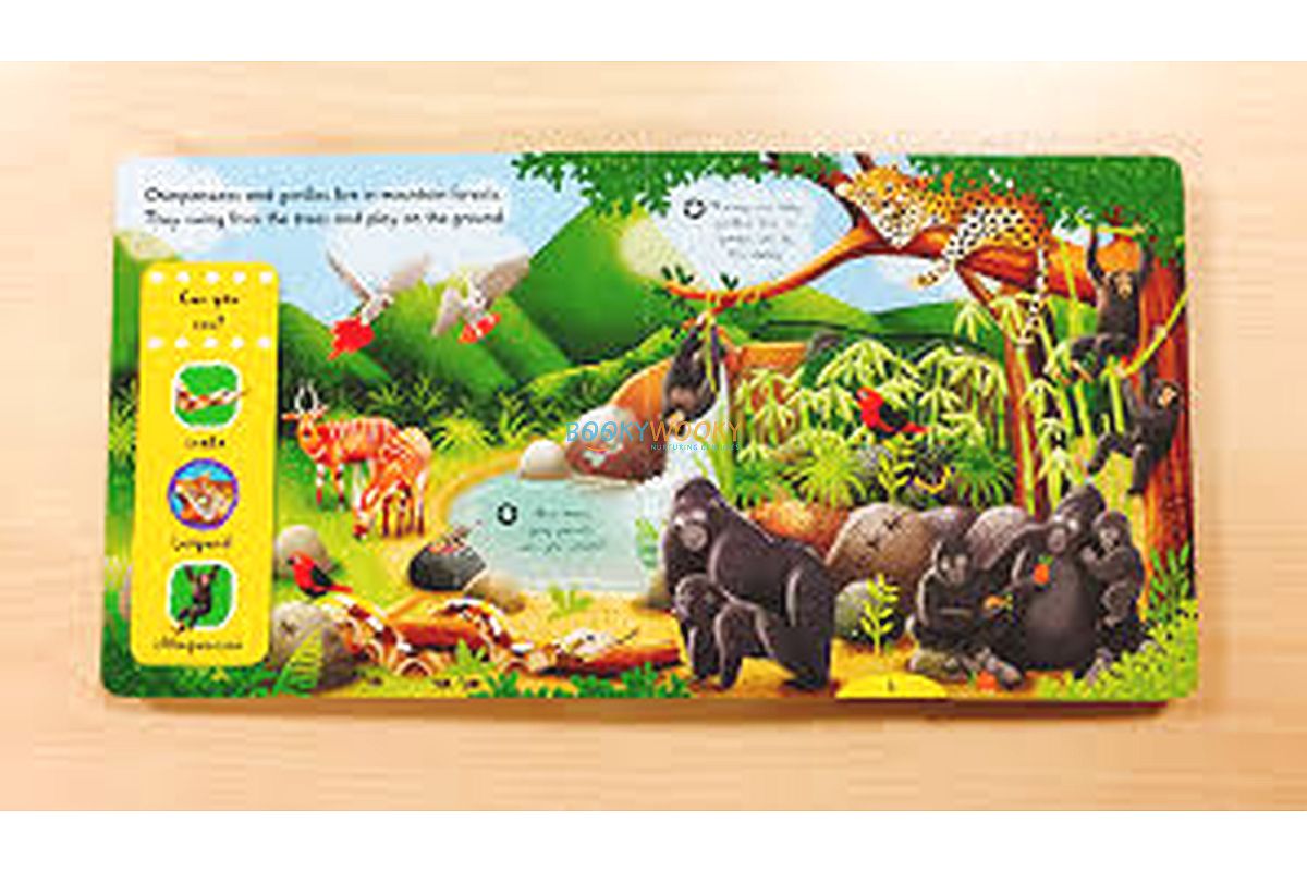 First Explorers Wild Animals Interactive books For Kids Booky Wooky