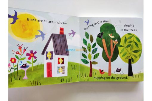 Hello, World! Birds