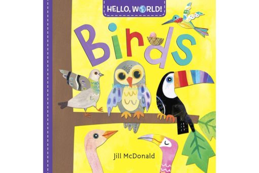 Hello, World! Birds