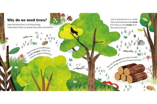 Trees A Lift The Flap Eco Book