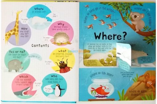 Lift the Flap Questions and Answers About Animals