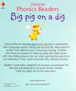 Big Pig on a Dig - Usborne Phonics Readers back