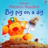 Big Pig on a Dig - Usborne Phonics Readers cover
