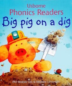 Big Pig on a Dig - Usborne Phonics Readers cover