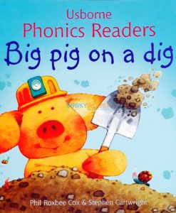 Big Pig on a Dig - Usborne Phonics Readers cover