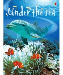 Under the Sea Usborne Beginners cover
