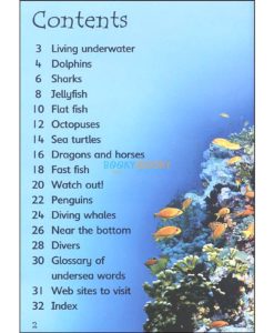 Under the Sea Usborne Beginners index